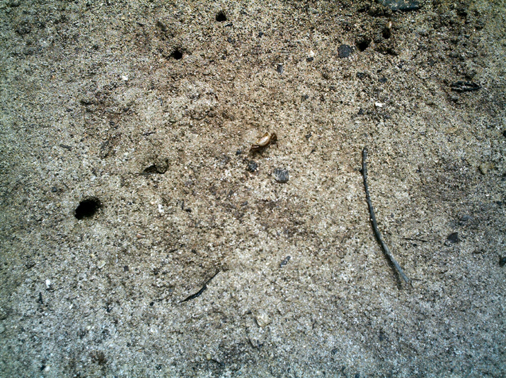 25 - Mangrove 006.jpg